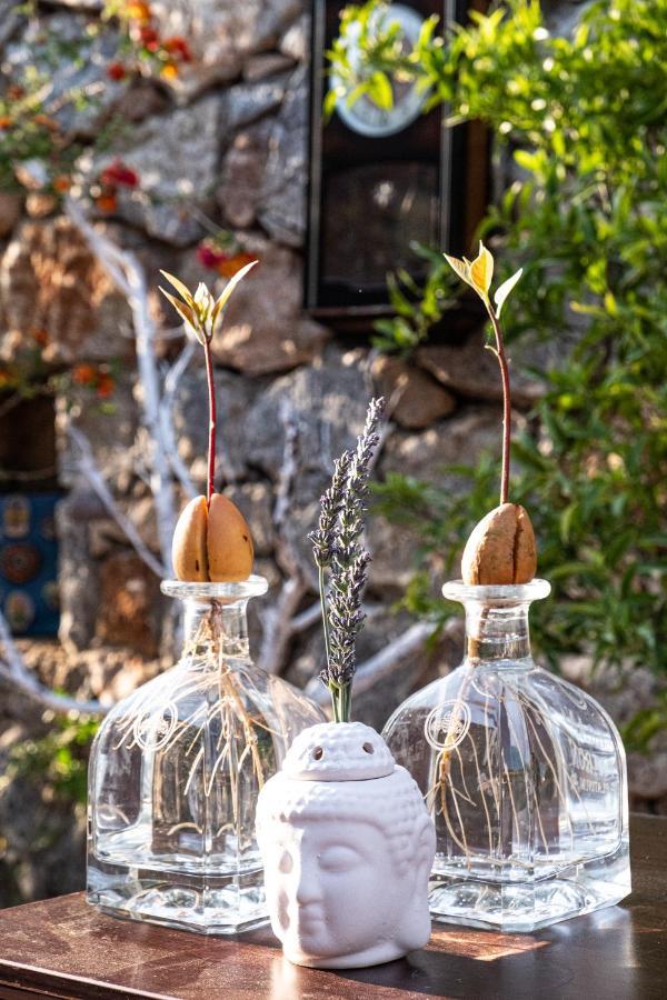 Casa Di Pietra Hotel Fethiye Buitenkant foto